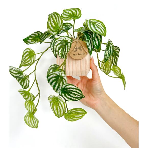Faux Watermelon Peperomia Hanging Plant in Handmade Wood Pot - Picture 1 of 4